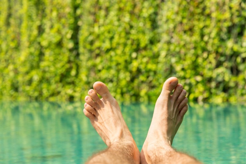 Naturpool Schweiz